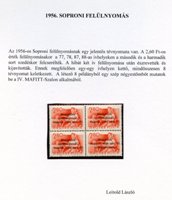 Kép még hiányzik