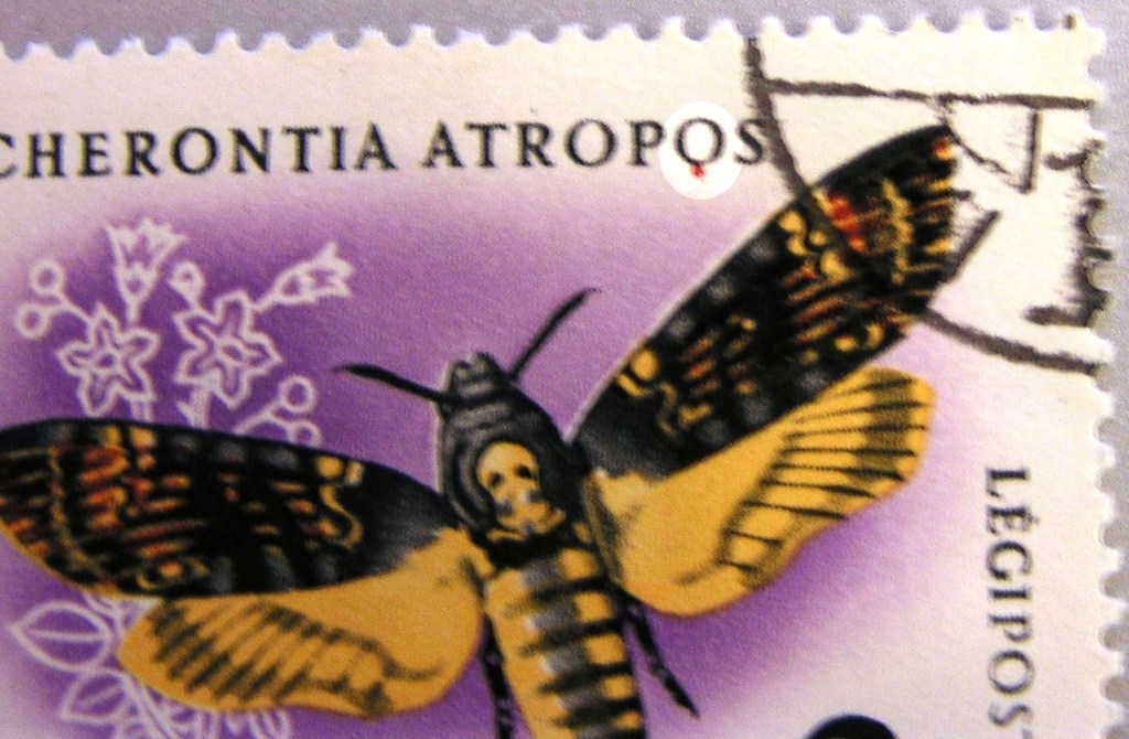 K�z�tt�k tal�ltunk egy ritkas�got: a 2 Ft-os nyomathib�j�t 