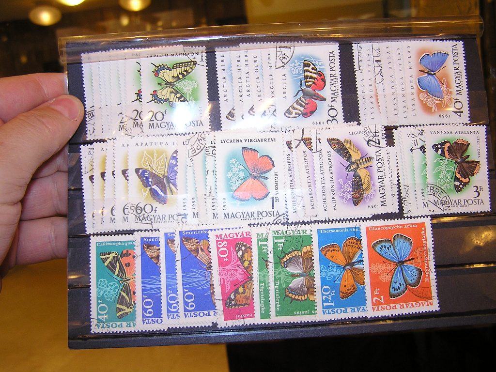 Stecklapnyi lepkeb�lyeg